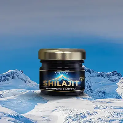Ayuvya|SHILAJIT|20g