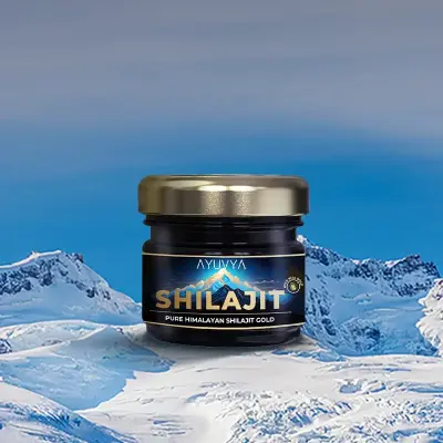 Ayuvya|SHILAJIT|20g